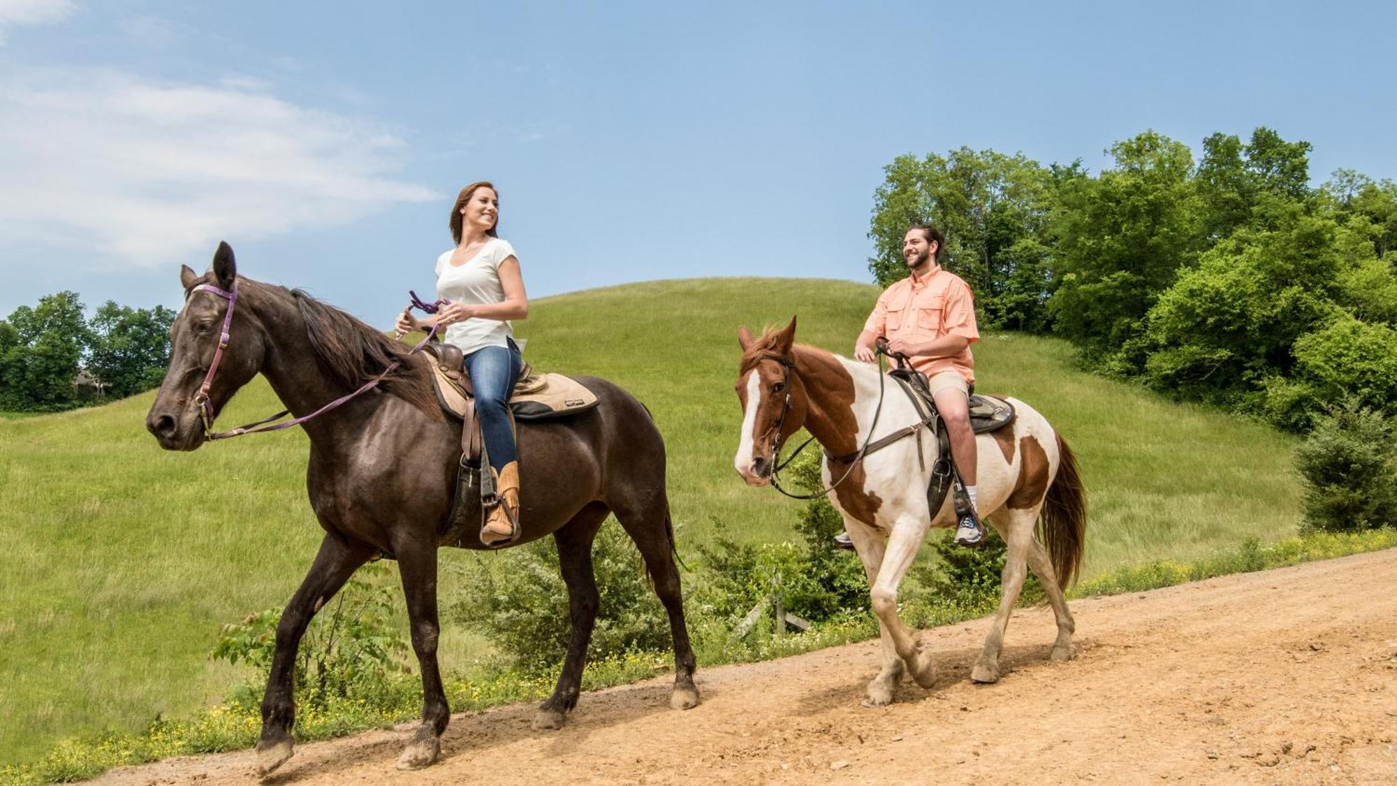A Walk In The Clouds By Eden Crest Villa Sevierville Buitenkant foto